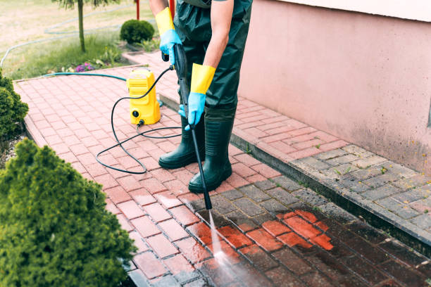 Best Pressure Washing Brick  in Skidway Lake, MI