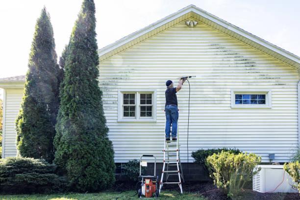 Best Affordable Power Washing  in Skidway Lake, MI