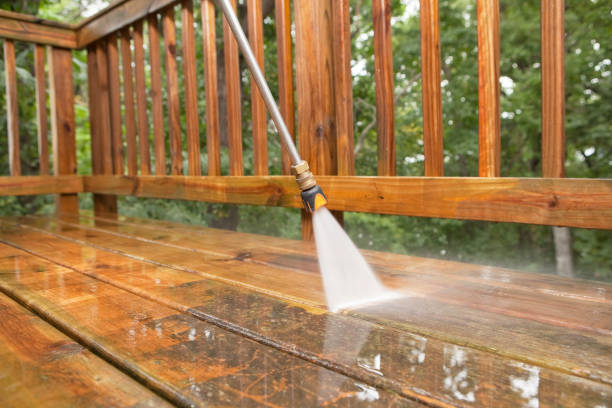 Best Deck Pressure Washing  in Skidway Lake, MI